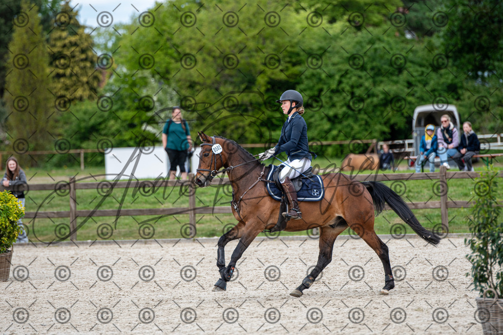 KPT_6327 | andre_photographic