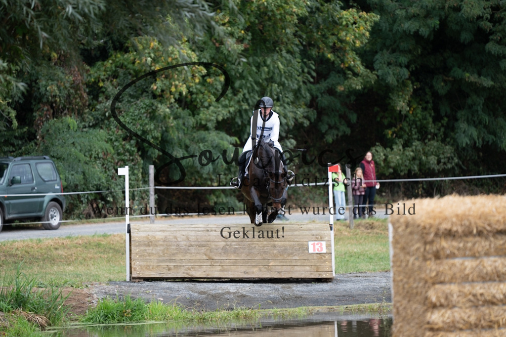 A7V00471 | Pferdefotograf