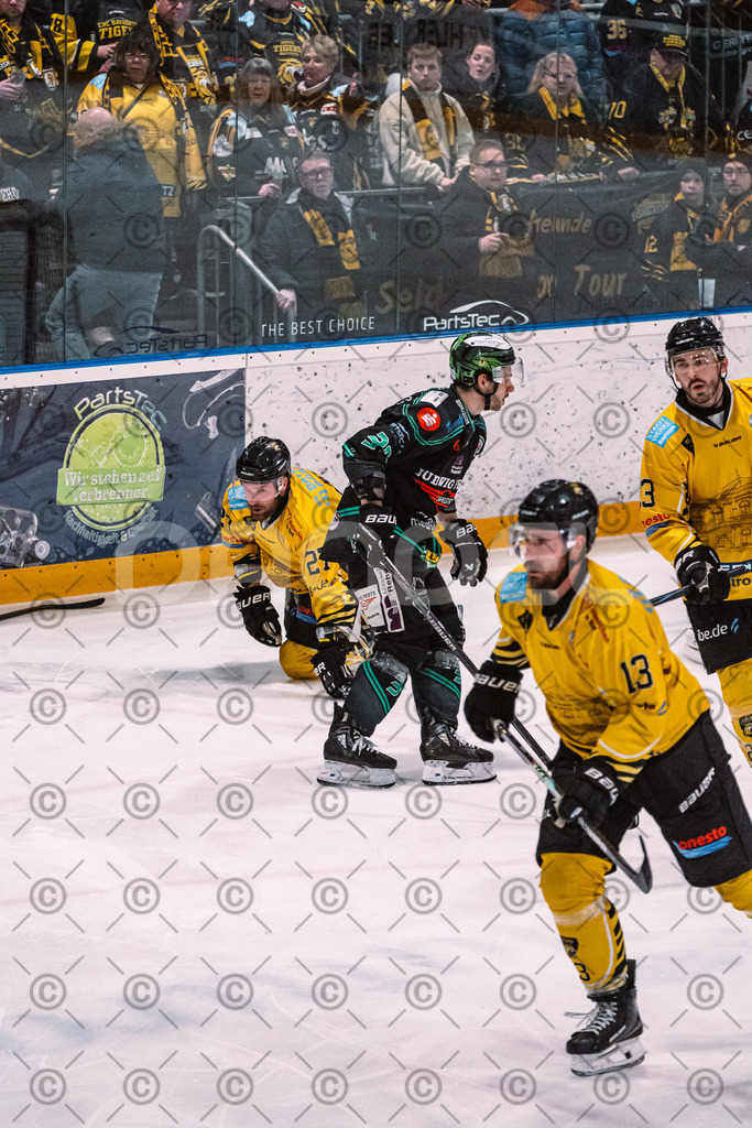 Alligators_vs_Bayreuth_16_01_2026-48 | Höchstadt Alligators Fotogalerie: Eishockey-Action aus Franken. Professionelle Spielfotos, Portraits & Stadionbilder zum Download. Jetzt entdecken! - Realisiert mit Pictrs.com