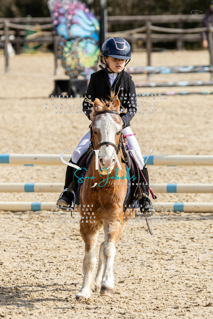 IMG_4292 | s-jay-photography - Realisiert mit Pictrs.com