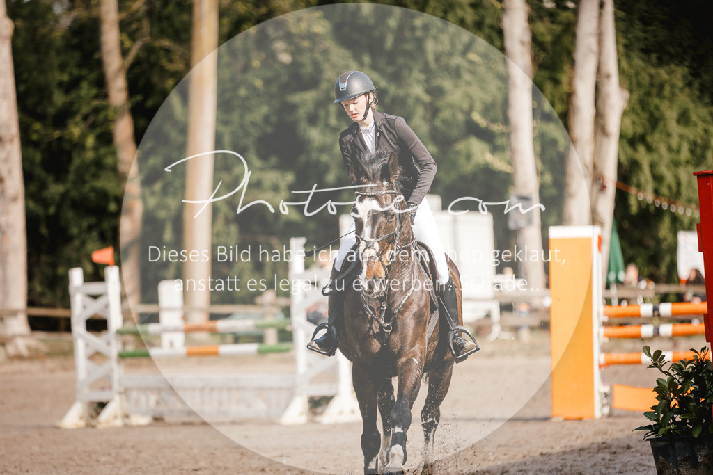 3I6A3501 | Stimmungsvolle Portraits und Reitsportfotografie im Ruhrgebiet und im Münsterland.

Pferdefotografie, Hundefotografie, Tierfotografie, Reportagen, Portraits von Tier und Mensch, Turnierfotografie in Bochum, Recklinghausen, Marl, Haltern am See, Dülmen.. - Realisiert mit Pictrs.com