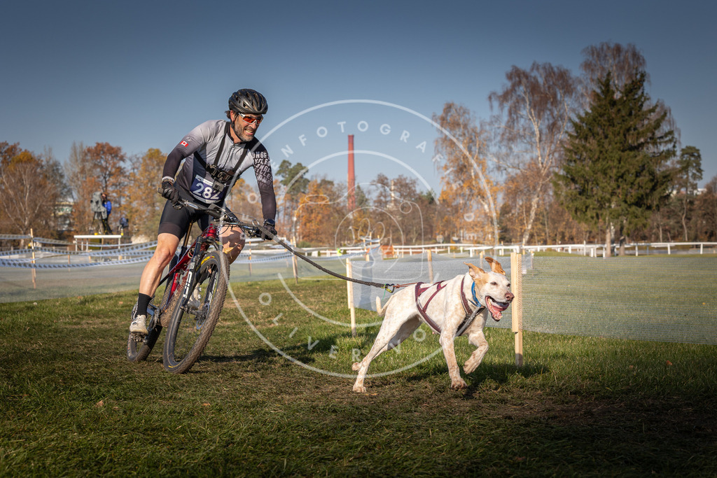 CaniXpix_0L8A6830 | Hundefotografie, Tierfotograf, Pfotenfotografie, Fotoshooting Hund, Hunde Portrait, Hundesport, Hundeportraits, Heideshooting, Hunde, Sportfotograf, Hundefotograf, Turnierhundsport, THS,  - Realisiert mit Pictrs.com