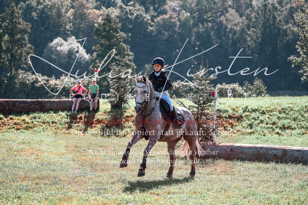 DSC_1145 | Pferde- und Turnierfotografie in Westsachsen. Pferdeportraits, Auftragszeichnungen und intuitive Kunst.