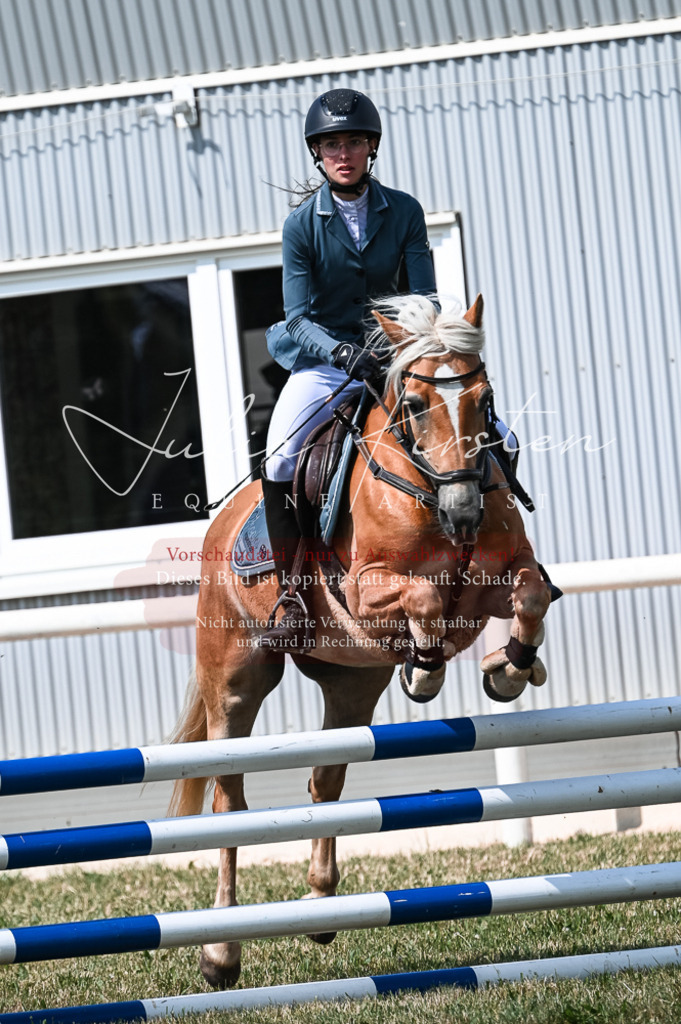 DSC_8787 | Pferde- und Turnierfotografie in Westsachsen. Pferdeportraits, Auftragszeichnungen und intuitive Kunst.