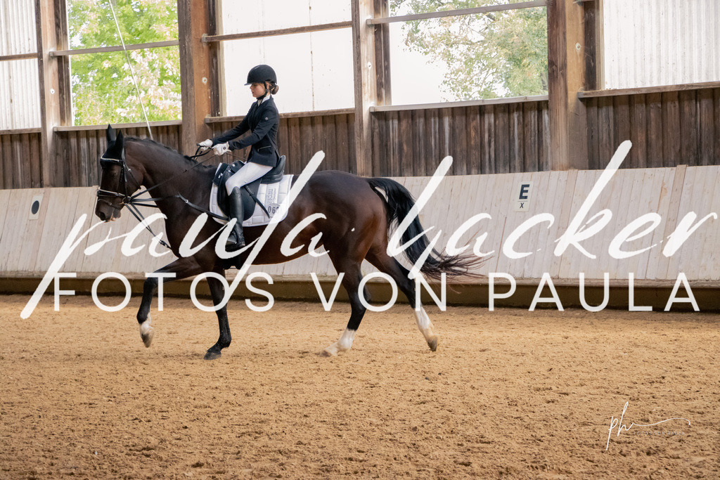 IMG_3561 | Erleben Sie dynamische Sport- und emotionale Tierfotografie in Süddeutschland mit Fotos von Paula. Spezialisiert auf Pferde- und Hundefotografie sowie Sportevents. Kontaktieren Sie mich für einzigartige und ausdrucksstarke Bilder Ihrer besonderen Momente. - Realisiert mit Pictrs.com