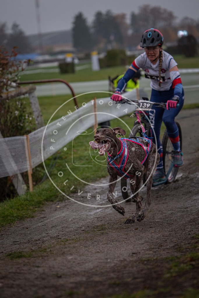 CaniXpix_0L8A0546 | Hundefotografie, Tierfotograf, Pfotenfotografie, Fotoshooting Hund, Hunde Portrait, Hundesport, Hundeportraits, Heideshooting, Hunde, Sportfotograf, Hundefotograf, Turnierhundsport, THS,  - Realisiert mit Pictrs.com
