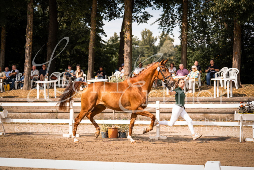 FrER00066 | Leoni Ertmer Photography - Realisiert mit Pictrs.com