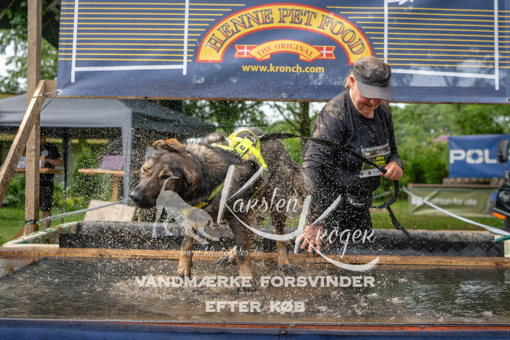 1115_ZZ93391 | kk-dogfotos