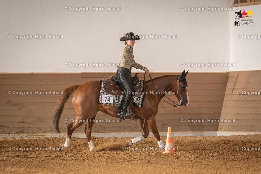 LMS06575 | BS-foto