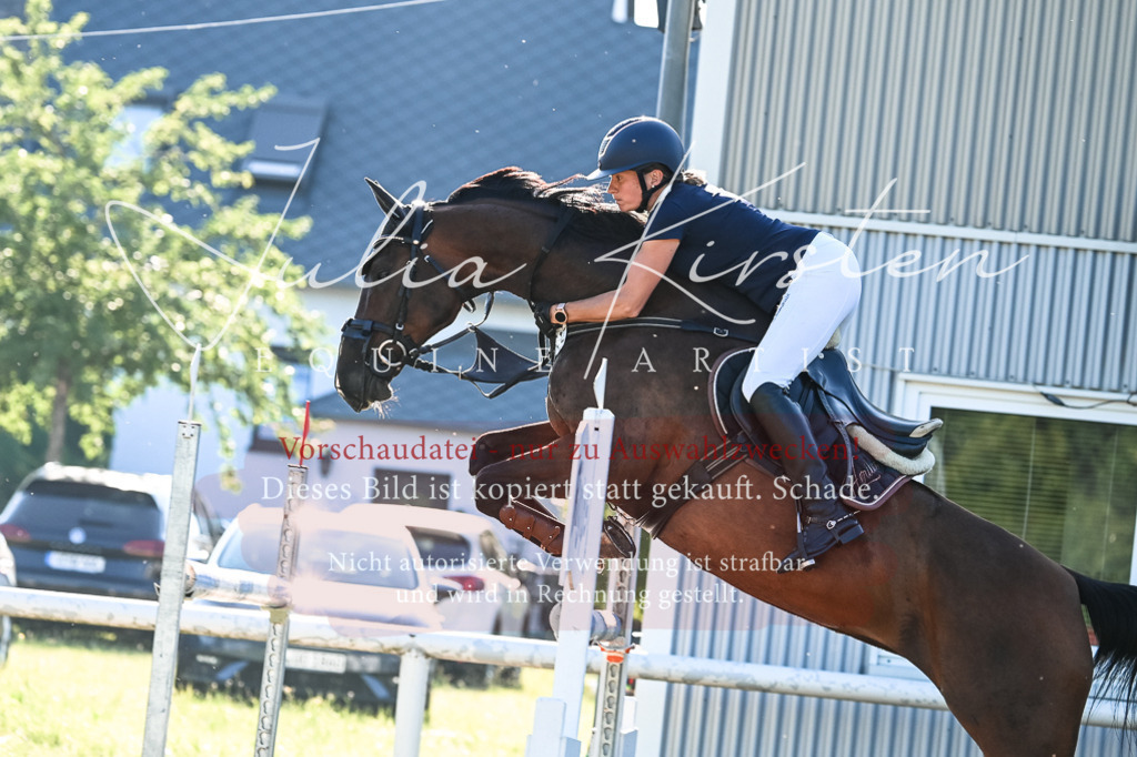 DSC_2982 | Pferde- und Turnierfotografie in Westsachsen. Pferdeportraits, Auftragszeichnungen und intuitive Kunst.