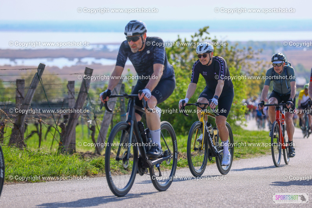 TRA_0998 | Neusiedlersee Radmarathon 2026@sportshot_your_pictrs #yourpictures#roadtowm2029 #nrm #neusiedlerseeradmarathon #neusiedlersee #neusiedlerseetourismus #burgenland #mörbisch #nrm26 #burgenlandtourismus #voglundco #poweredbyburgenlandtourismus #radsport #rad #marathon #ucigranfondo #visitburgenland #ucigranfondoworldseries