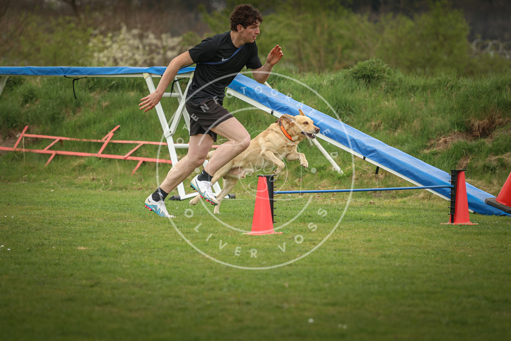 Pfotenfotografie_0L8A0861 | Hundefotografie, Tierfotograf, Pfotenfotografie, Fotoshooting Hund, Hunde Portrait, Hundesport, Hundeportraits, Heideshooting, Hunde, Sportfotograf, Hundefotograf, Turnierhundsport, THS,  - Realisiert mit Pictrs.com