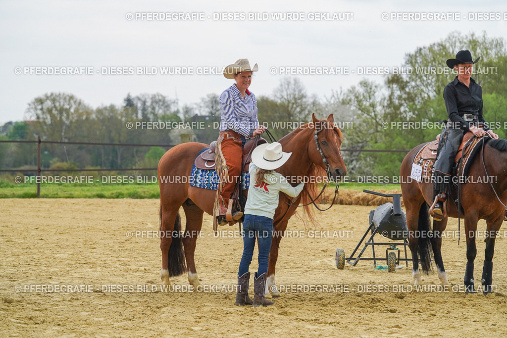 DSC07917 | Pferdegrafie