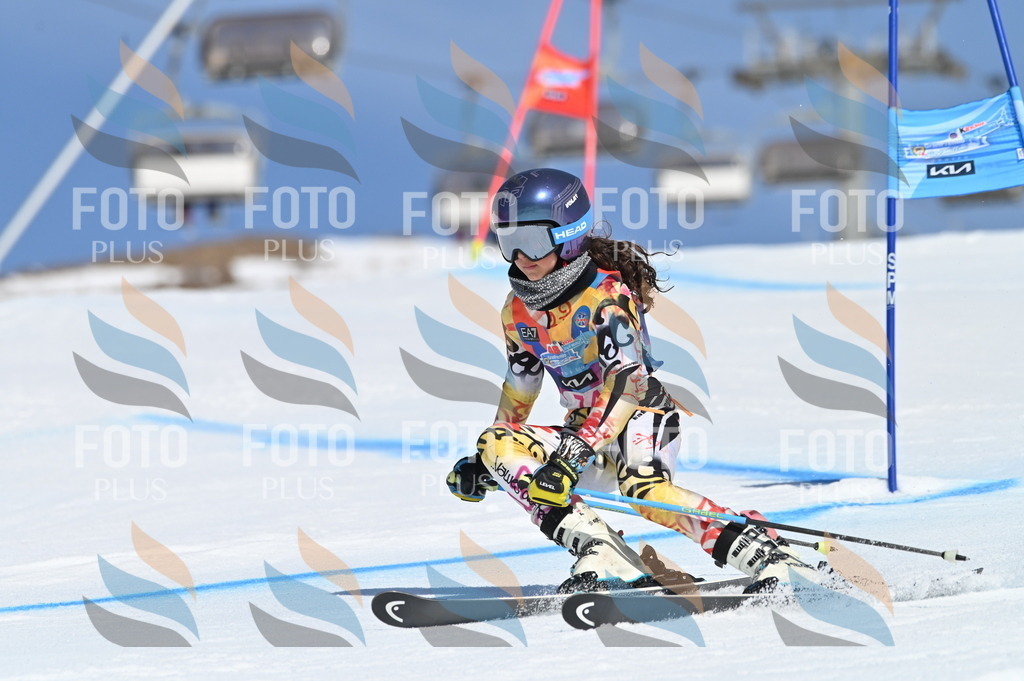 BGV_8984 | holidayphoto