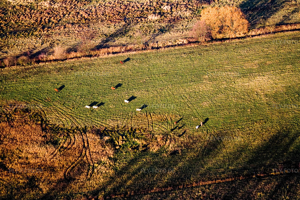 Luftbild: Naturschutzgebiet Billigheimer Bruch im Ortsteil Mühlhofen in Billigheim-Ingenheim im Bundesland Rheinland-Pfalz in Deutschland. Foto: IMG_14790.jpg vom 30.11.2008 durch Werner Riehm/FLY-FOTO.de