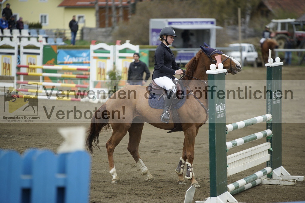 _DSC7308 | equestrian-live-com