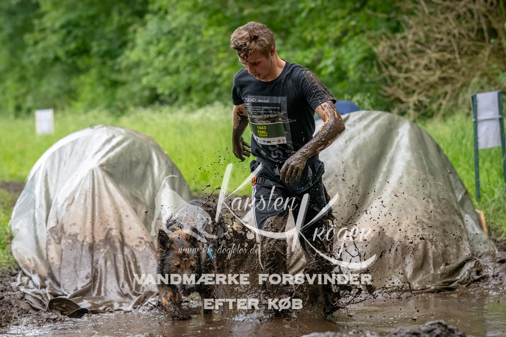 1544_ZZ90063-Bearbeitet | kk-dogfotos