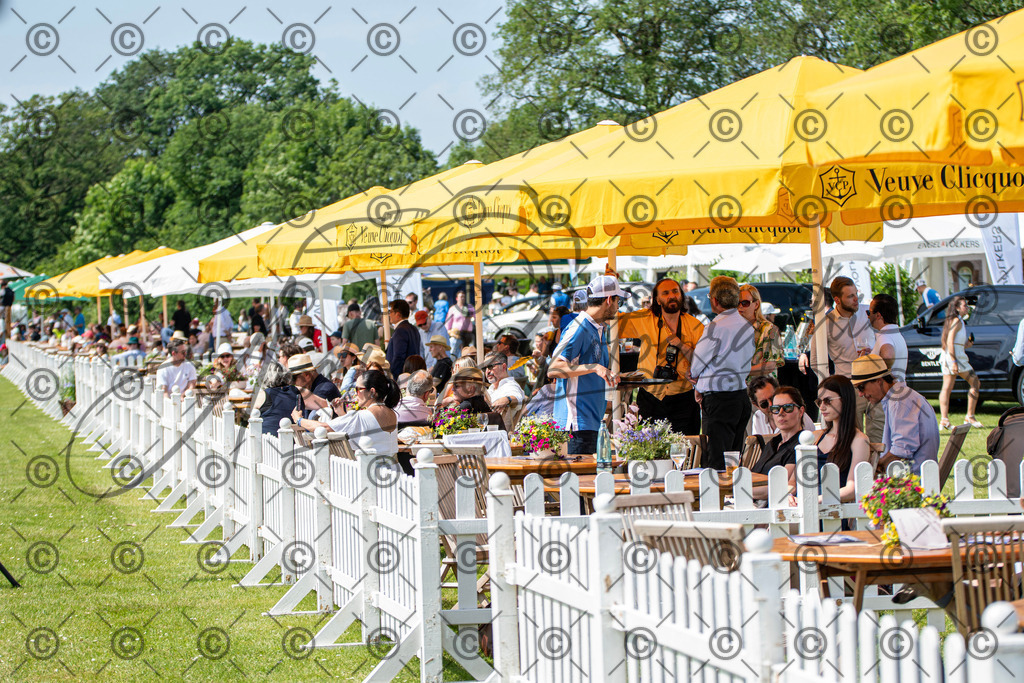 POL_2313 | andre_photographic