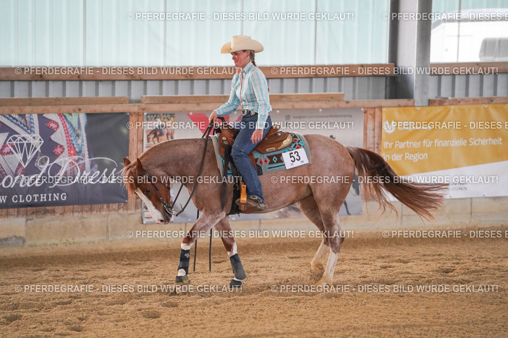 DSC08690 | Pferdegrafie