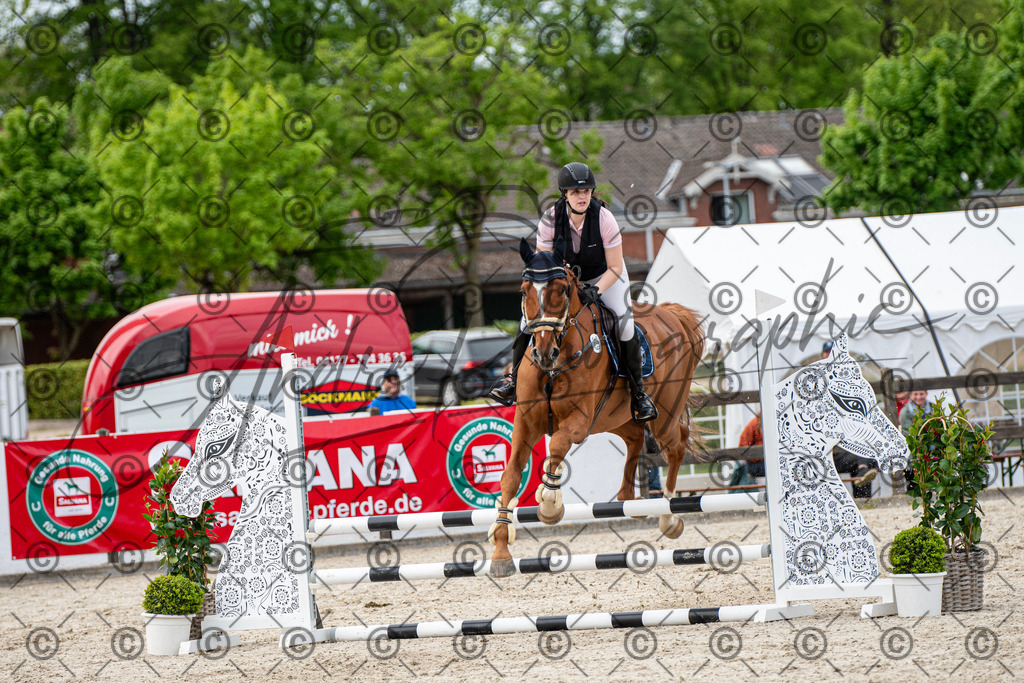 KPT_7366 | andre_photographic