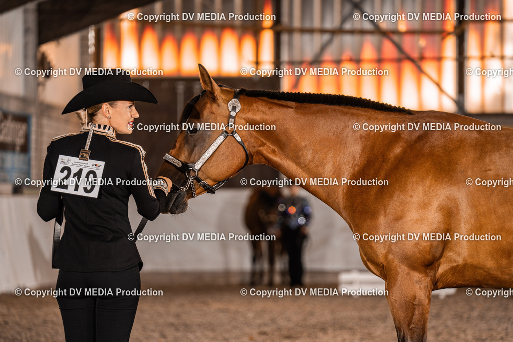 ZH100159 | dv-media-shop - Realisiert mit Pictrs.com