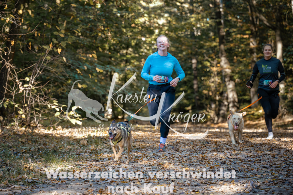 1112_ZZ91792 | kk-dogfotos