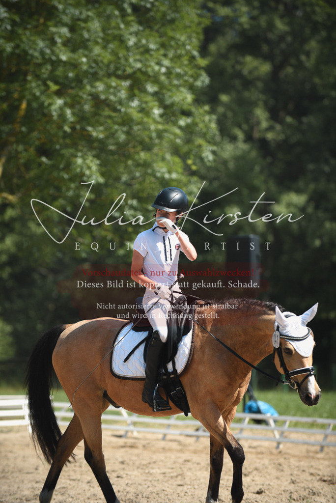 DSC_2545 | Pferde- und Turnierfotografie in Westsachsen. Pferdeportraits, Auftragszeichnungen und intuitive Kunst.