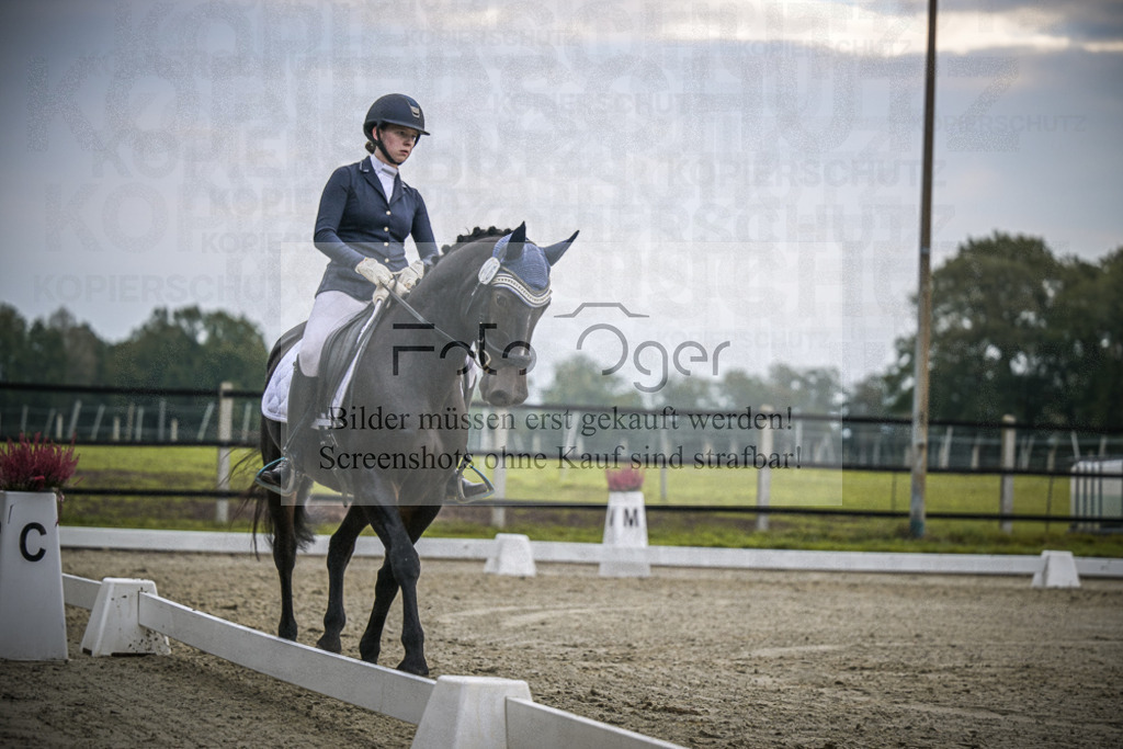 DOS_2263 | Entdecke hochwertige Reitturnierfotos von Foto Oger. Professionell, emotional und authentisch – jetzt Lieblingsmomente im Shop bestellen.Deutschlandweite Turnierfotografie. - Realisiert mit Pictrs.com