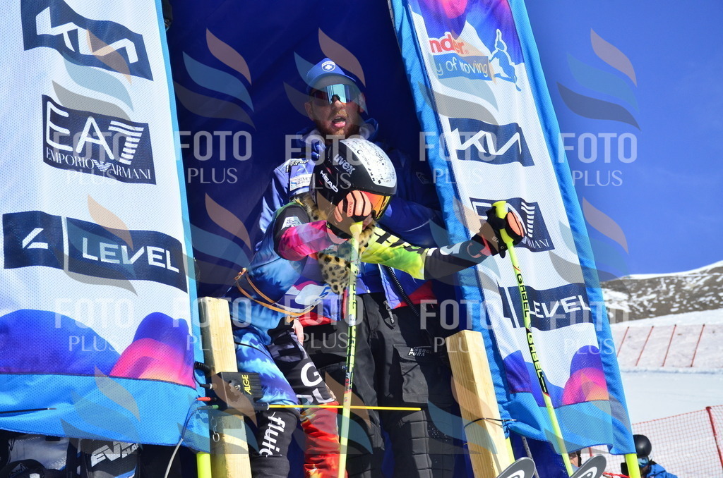 _ELE9731 | holidayphoto