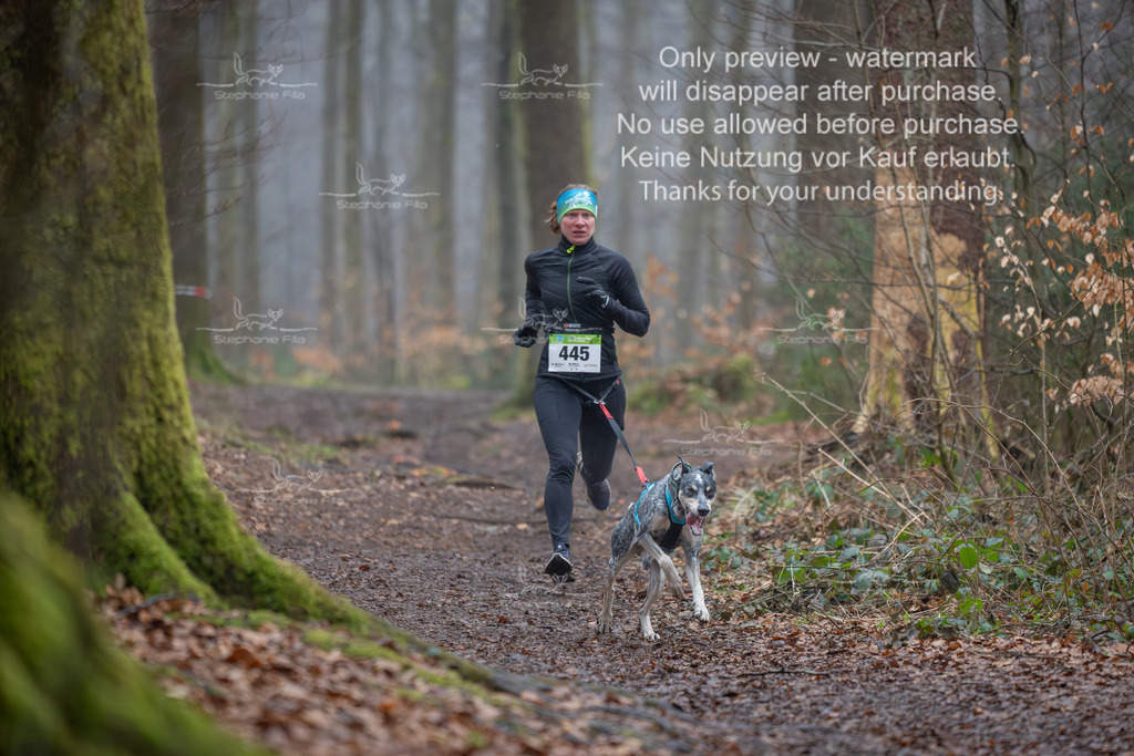 Canix_So-42 | stephaniefillaphotographie - Realisiert mit Pictrs.com