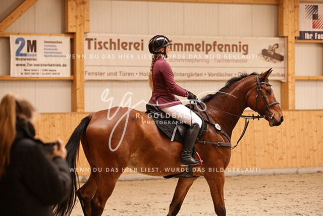 1J2A5688Juliane Weihs_ Cryptonit_ Kn191_ Glantz_ Hohen Wieschendorf | Foto- und Videografie für alles rund ums Pferd. Hochwertige Bilder und Videos vom Spring- und Dressurreiten, Voltigieren & mehr. Jetzt aktuelle Veranstaltungen und Preise im Shop ansehen. - Realisiert mit Pictrs.com