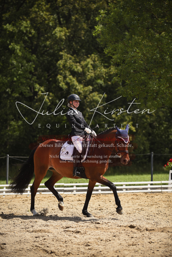 DSC_1395 | Pferde- und Turnierfotografie in Westsachsen. Pferdeportraits, Auftragszeichnungen und intuitive Kunst.