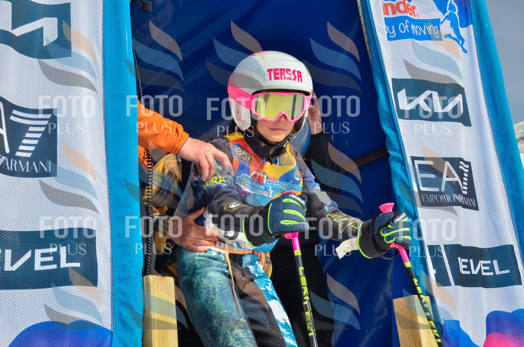 _ELE4424 | holidayphoto