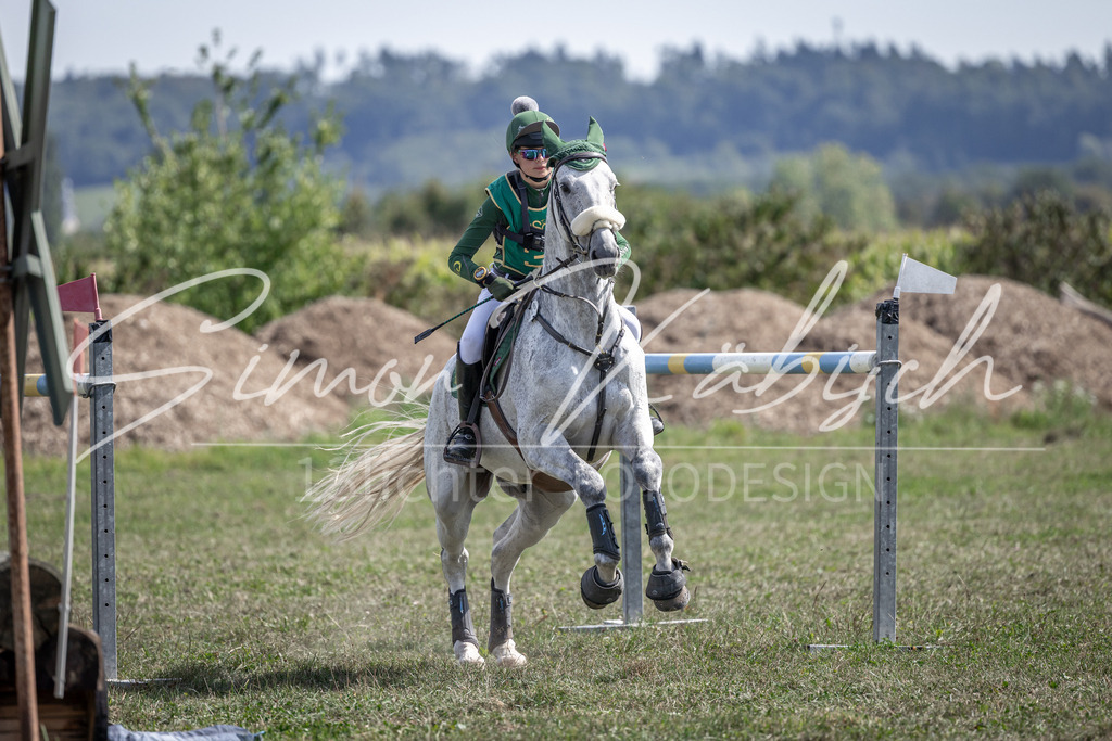 20250907-_3LI1340 | Tierfotografie Pferde, Hunde, Katzen, Haustiere.
Turnierfotografie Reitturniere, Reiten, Springreiten, Dressur in Hanau, dem Main-Kinzig-Kreis und dem Rhein-Main- Gebiet um Frankfurt