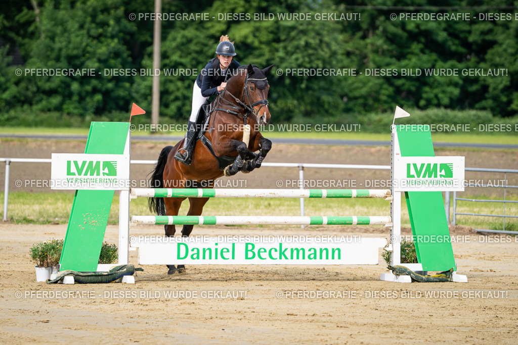 DSC03690 | Pferdegrafie