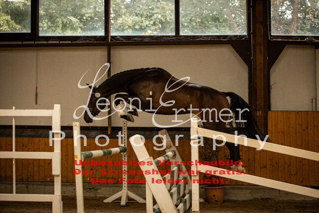 1FS_L00021 | Leoni Ertmer Photography - Realisiert mit Pictrs.com