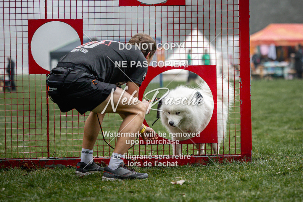 nelerasche_Hulsbeek_Sa0845-1030_18 | nelerasche