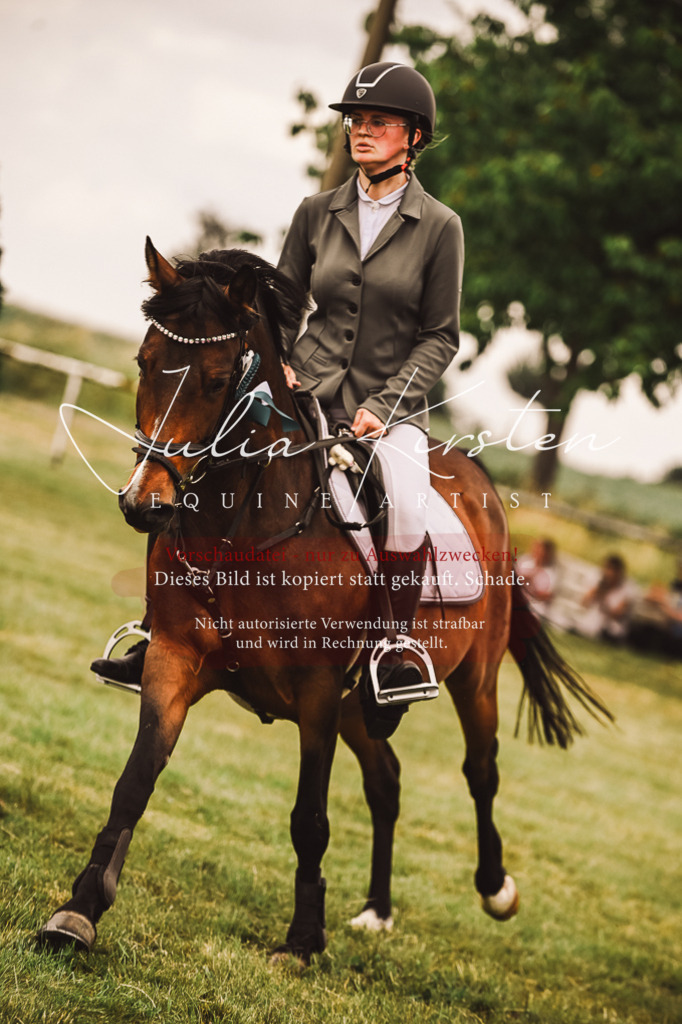 DSC_7012 | Pferde- und Turnierfotografie in Westsachsen. Pferdeportraits, Auftragszeichnungen und intuitive Kunst.