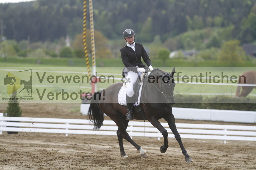 _MG_3659 | equestrian-live-com