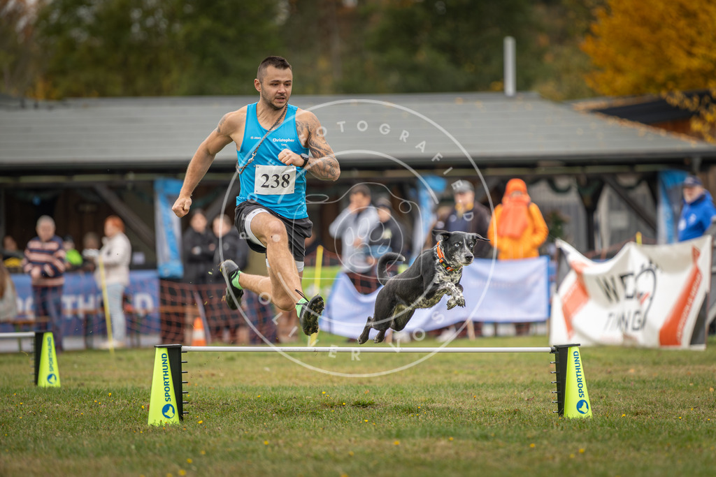 Pfotenfotografie_DV3A4956 | Hundefotografie, Tierfotograf, Pfotenfotografie, Fotoshooting Hund, Hunde Portrait, Hundesport, Hundeportraits, Heideshooting, Hunde, Sportfotograf, Hundefotograf, Turnierhundsport, THS,  - Realisiert mit Pictrs.com