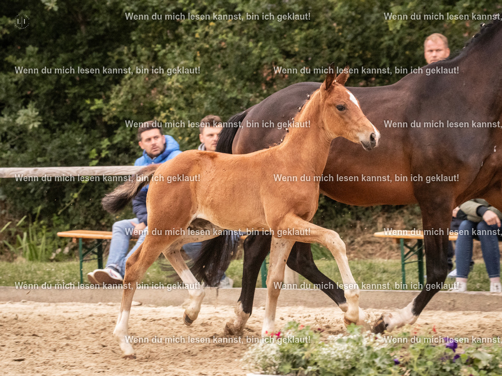 A10I6315 | photographylinaismer - Realisiert mit Pictrs.com