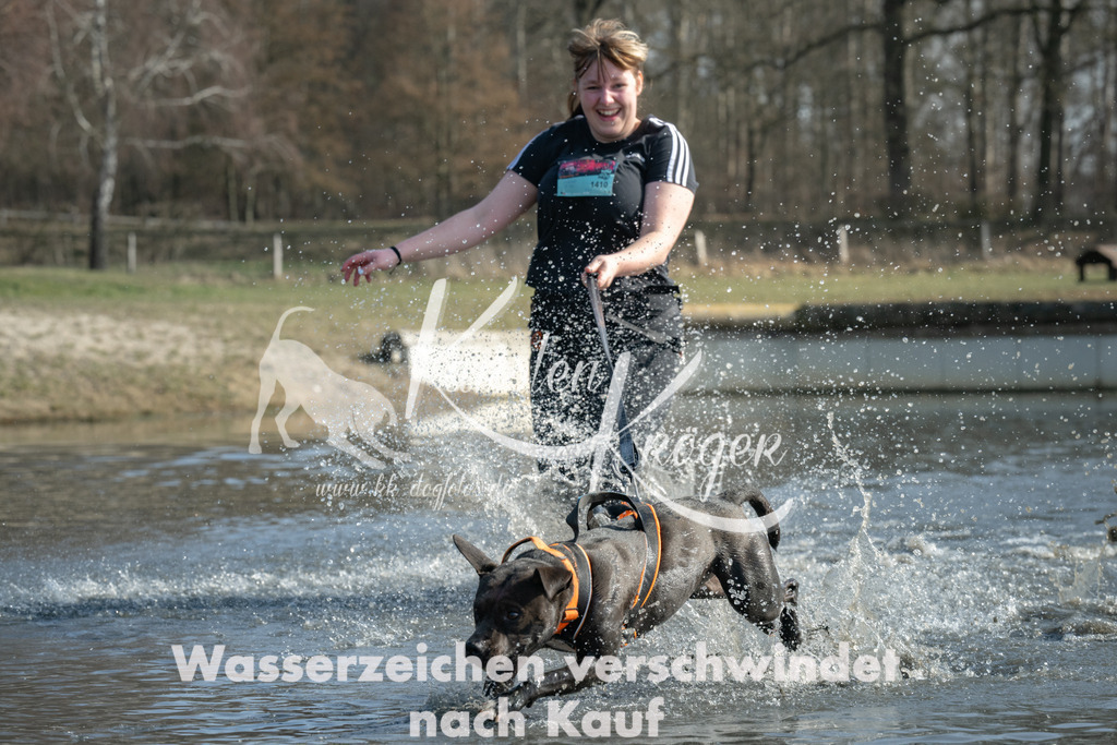 1309_ZZ94991 | kk-dogfotos