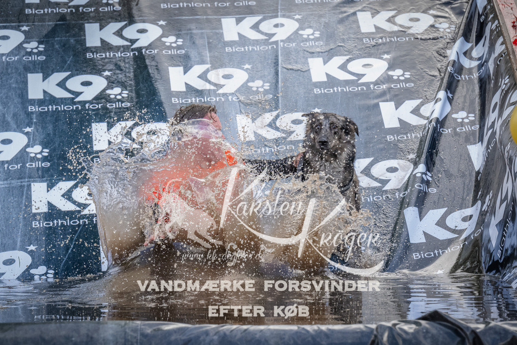 1519_ZZ94420 | kk-dogfotos