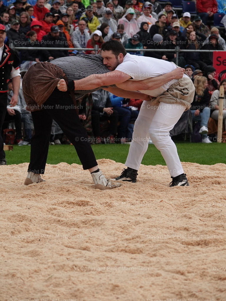 DSC06275 | Schwingen - Realisiert mit Pictrs.com