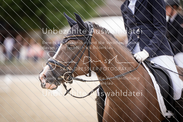 SD_OED_08266 | saradresslerfotografie - Realisiert mit Pictrs.com