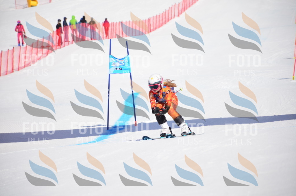 VR4_9907 | holidayphoto