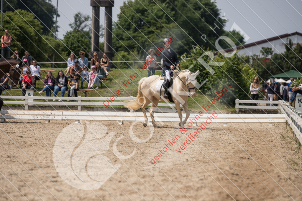 IMG_3739 | Sport-, Event- und Tierfotos in Profiqualität. Einfach auswählen, bestellen und herunterladen. Dein Moment – perfekt festgehalten.