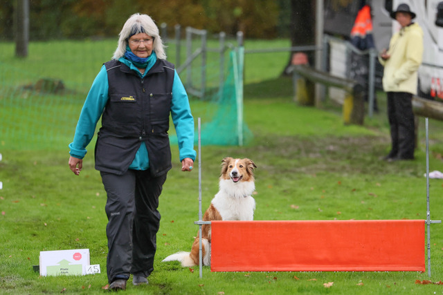 2025_Rally_Obedience_SM-106 | Ich fotografiere Hundeausstellungen, Sportanlässe, Zuchtstätten, Hundezucht, Hundeportrait, Lagotto - Realisiert mit Pictrs.com