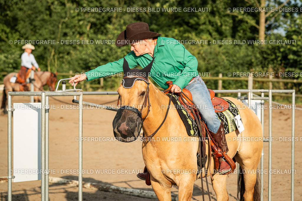 DSC06189 | Pferdegrafie