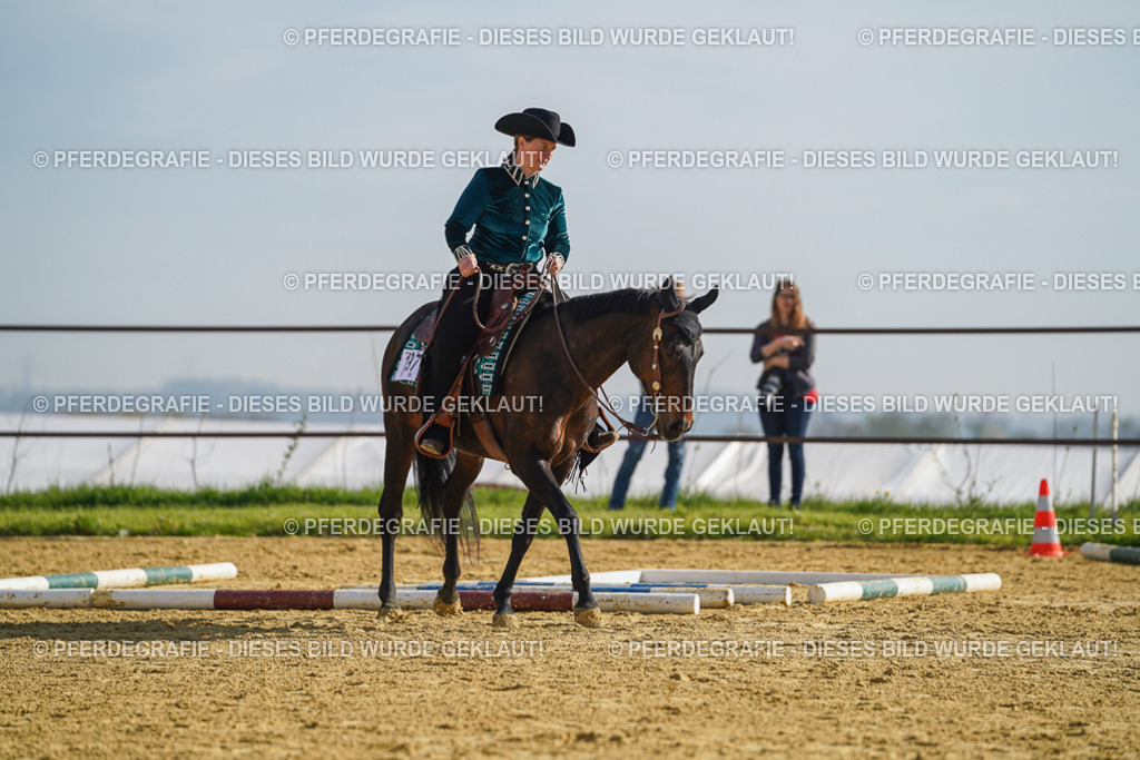 DSC01007 | Pferdegrafie